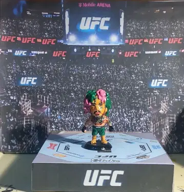 프로 격투 히어로즈 션 오말리 2