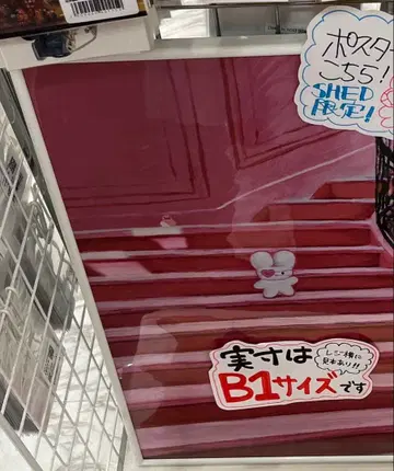 beco+81 엉덩이 귀 토끼 B1 포스터