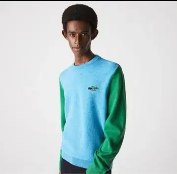LACOSTE 패널 배색 에시컬 울 니트 스웨터