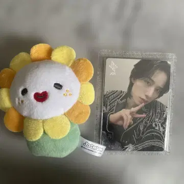 사토 케이고 혜택 트레이딩 카드 bira 손가락 인형