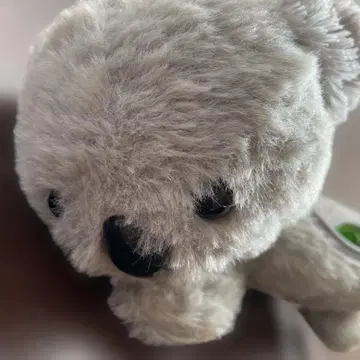 코알라 봉제 인형 파우치 그레이