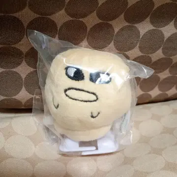 마에스케 토코토코 봉제 인형 마에스케C 옅은 그린 가챠 캡슐 토이