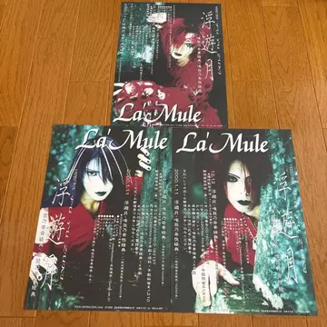 La'Mule 부유월 플라이어 3장 세트