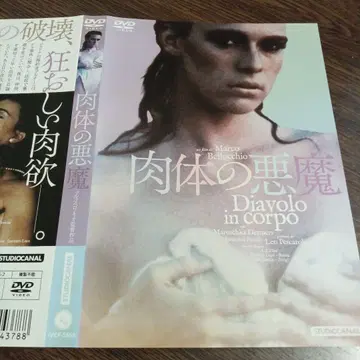 육체의 악마 Diavolo in corpo DVD