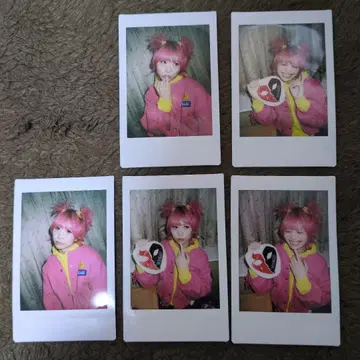 달콤한 폭력 케이 씨 폴라로이드