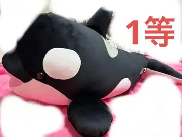 고베 스마 월드 1등 범고래 봉제 인형