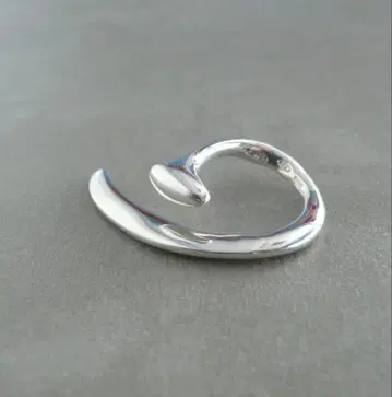 모니카 카스티글리오니 11호 니노미야 코즈에 씨