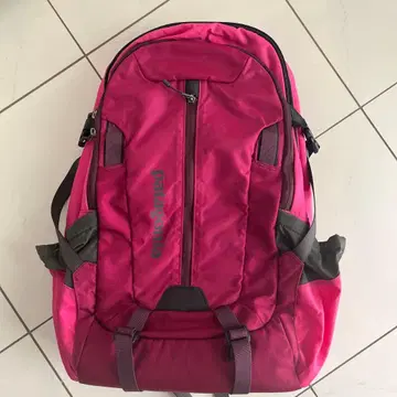 파타고니아 핑크 백팩