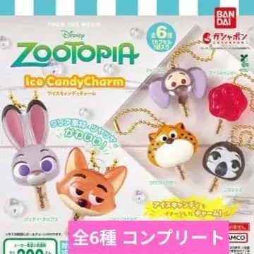 주토피아 아이스캔디 참 전 6종 세트