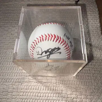 사인 포함 야구공 케이스 포함