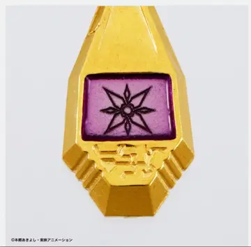 익명 배송 디지몬 어드벤처 메모리얼 목걸이 빛의 문장 택