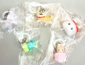 메지루시 액세서리 세트