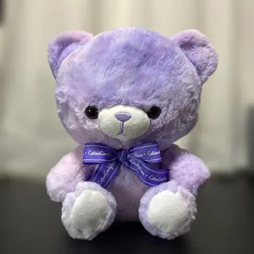 코튼 캔디 베어 드리미 보라 퍼플 프라이즈