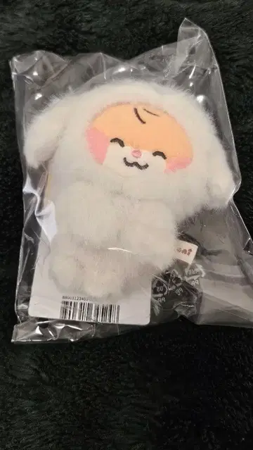 zeroni  binini 비니니 마그넷 사진 홀더