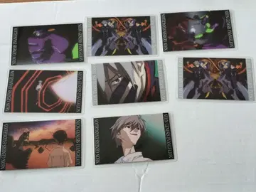 에반게리온 나기사 카오루전 나기사 카오루 라미카