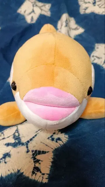 스마 월드 범고래 복권 4등 시나몬 컬러