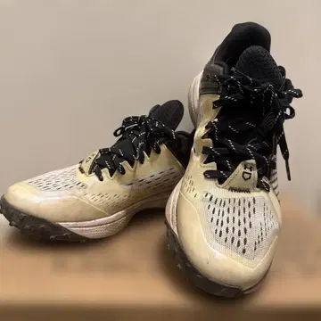 언더아머 차지드 트레이닝 슈즈