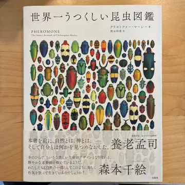세계에서 가장 아름다운 곤충 도감