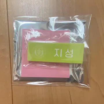 [ NCTDREAM지성 ] SMTOWN LIVE 2025 네임 배지