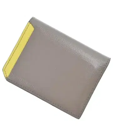 L'arcobaleno 여성용 지갑 코인 케이스