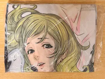 보더브레이크 [ BORDER BREAK ] 피오나 빅 시트