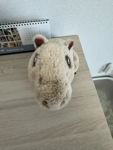 미라벨 마법투성이의 집 카피바라