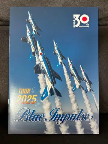 블루 임펄스 투어 팜플렛 후기