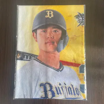 오타 료 코로차레