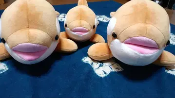 스마 시월드 범고래 복권 3개 세트