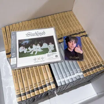 starkissed 48장 세트