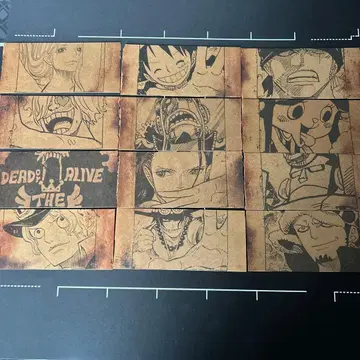 ONE PIECE magazine 수배서 12장 컴플리트 세트