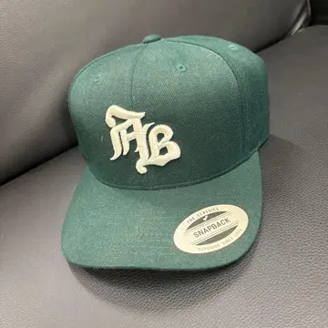 AB 로고 스냅백 캡 그린