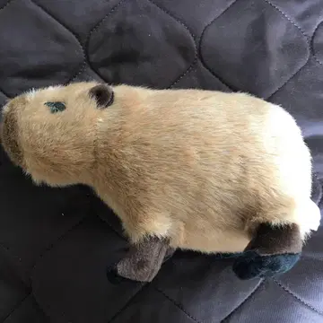 도부 동물공원 오리지널 카피바라 봉제 인형