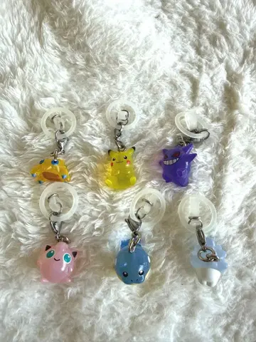 포켓몬 메지루시 액세서리 컴플리트 세트