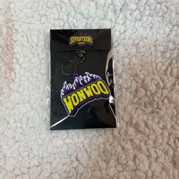 seventeen 세부치 원우 키링 HOME