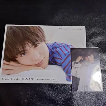 초특급 하루 달력 타워 레코드 특전 포함 카시와기 유우