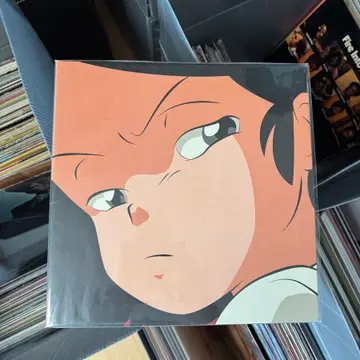 아도이 Adoy - Catnip LP (상태 문의 필수) | 브랜드 중고거래 플랫폼