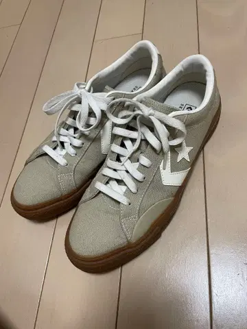 컨버스 스케이트보딩 캔버스 페뉴