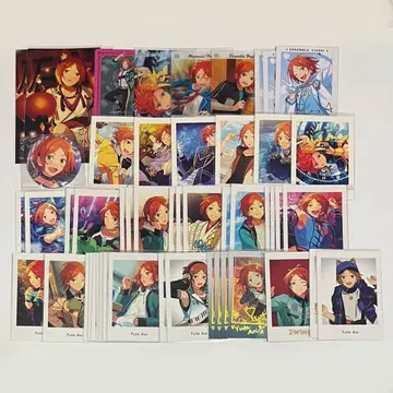 아오이 유타 파샤코레 파샤츠