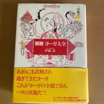 도설 요가 대전