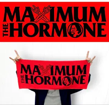 호르몬의 스테디셀러 타월 ~제네릭판~ 빨간색