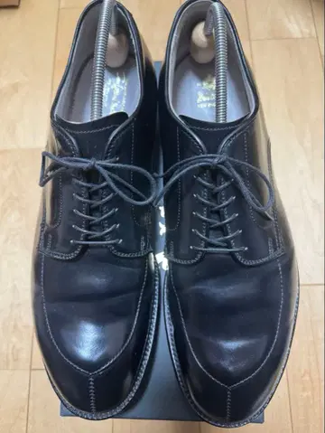 알든 54332 코도반 V-팁 12D 블랙 알든