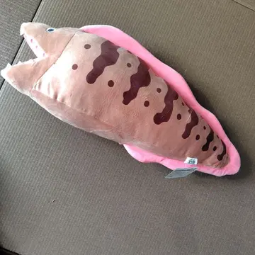 말랑말랑 곰치 BIG 봉제 인형