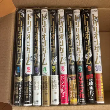 트리리온 게임 10권 세트