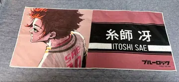 이토시 사에 타월