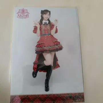 AKB48 오구리 유이 20주년 기념 빨간 체크 의상 랜덤 브로마이드