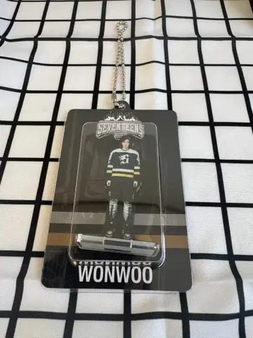 세븐틴 SEVENTEEN HOME 2025 아크릴 키링 원우