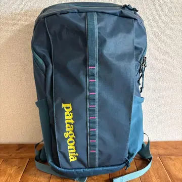 patagonia 블랙홀 팩 25L 그린