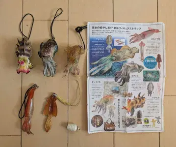 오징어 컬렉션 ~스트랩 컬렉션~ 4종류 + 건오징어