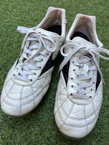 인기 모렐리아 2 Japan